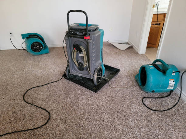 Best 24/7 water damage repair  in Fairmount, IN
