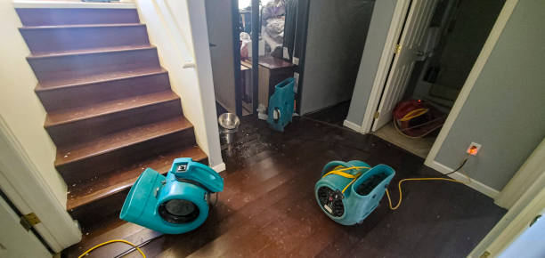 Best Water damage restoration specialists  in Fairmount, IN