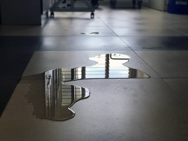 Best Local water damage restoration  in Fairmount, IN