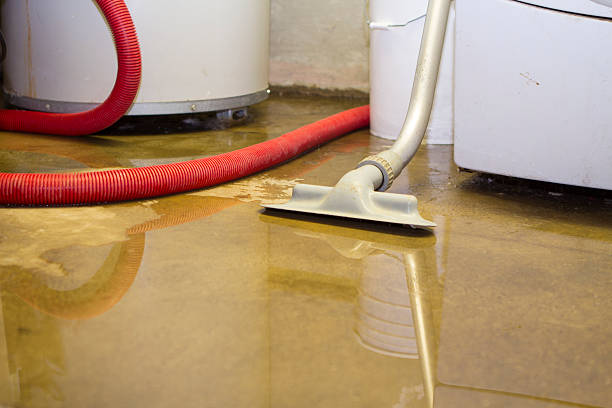 Best Carpet water damage restoration  in Fairmount, IN