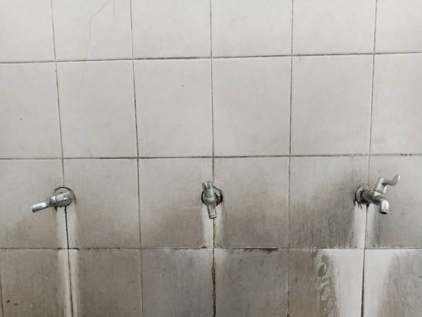 Best Ceiling water damage repair  in Fairmount, IN
