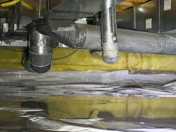 Best Mold removal after water damage  in Fairmount, IN