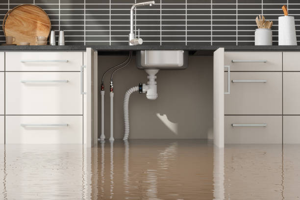 Best Flood damage cleanup  in Fairmount, IN