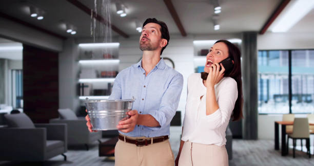 Best Water damage cleanup near me  in Fairmount, IN